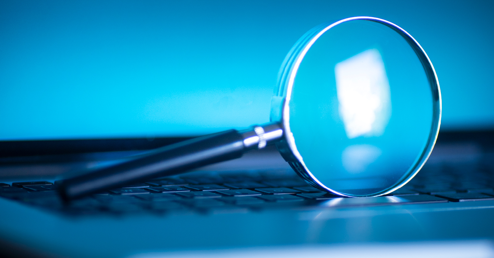 2023 Transparency article supporting image